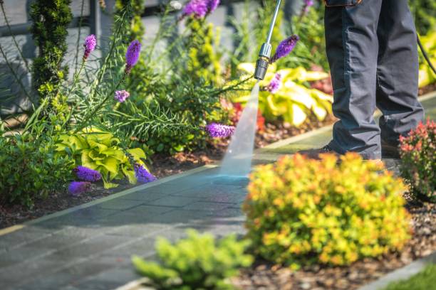 Best Driveway Pressure Washing  in Franklin, VA