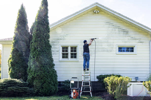 Best Dumpster Area Cleaning  in Franklin, VA