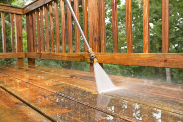 Best Fence Cleaning  in Franklin, VA